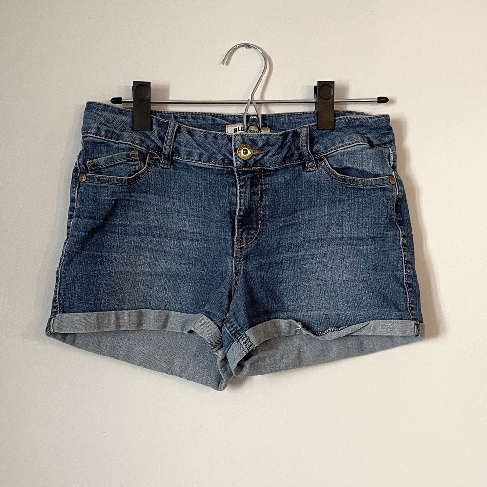 Blue Spice Jean Shorts (9)